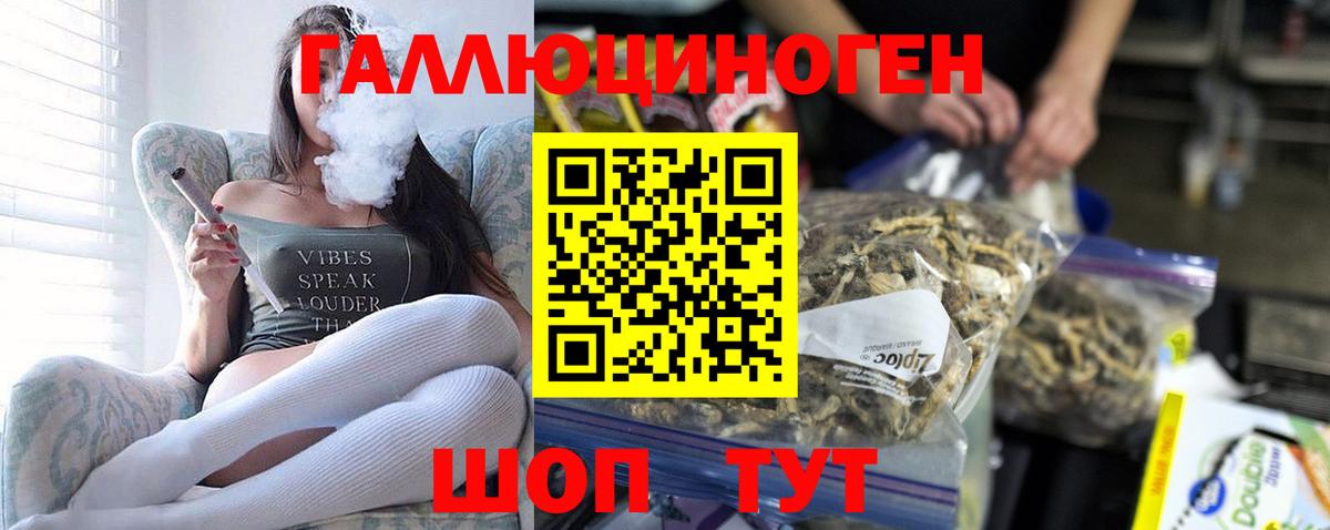 Галлюциногенные грибы Cubensis Астрахань