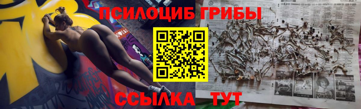 Псилоцибиновые грибы MAGIC MUSHROOMS  Вход с VPN  Астрахань 